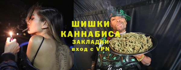 прущий лед Каменка
