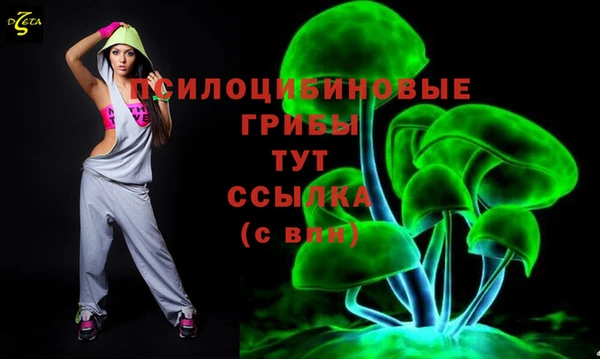 прущий лед Каменка