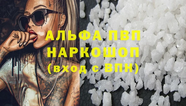 spice Каменногорск
