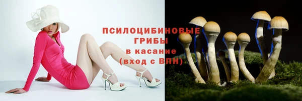 прущий лед Каменка