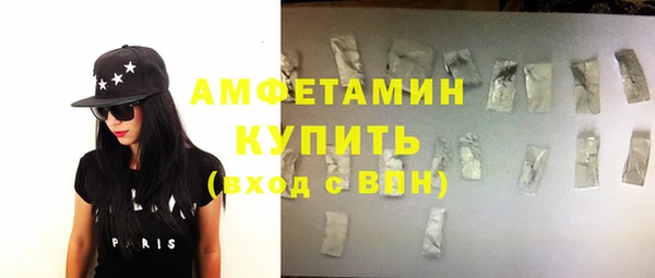 прущий лед Каменка
