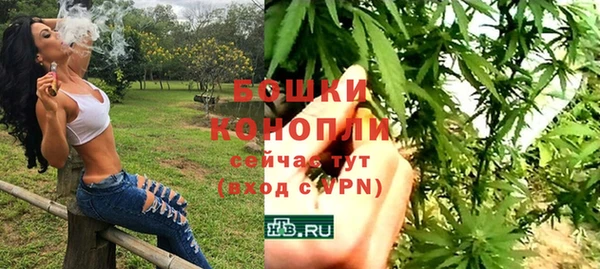 прущий лед Каменка
