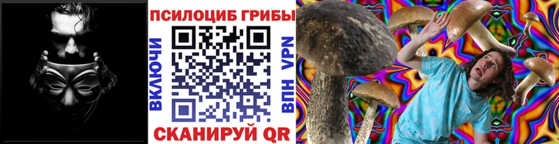 Псилоцибиновые грибы GOLDEN TEACHER  Купить закладки  Уяр 